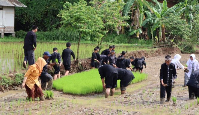 Disdik Purwakarta Kampanyekan Penanaman Padi