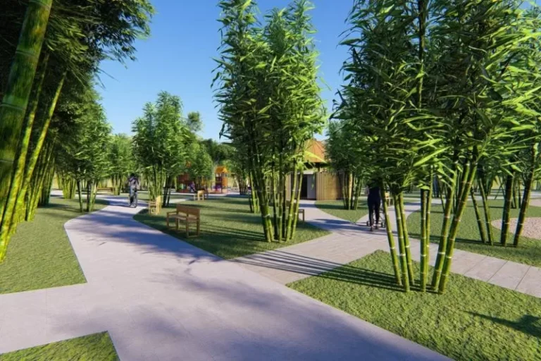 Ilustrasi - Arboretum Bambu