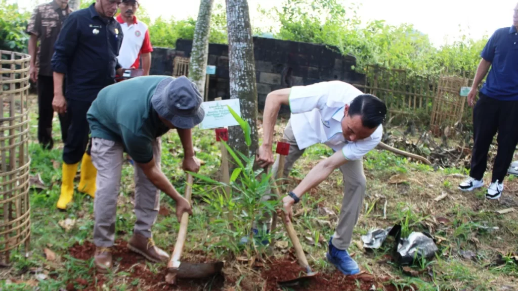 Menanam Bambu