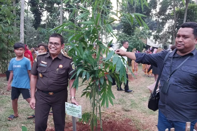 Penanaman bambu di Arboretum Bambu