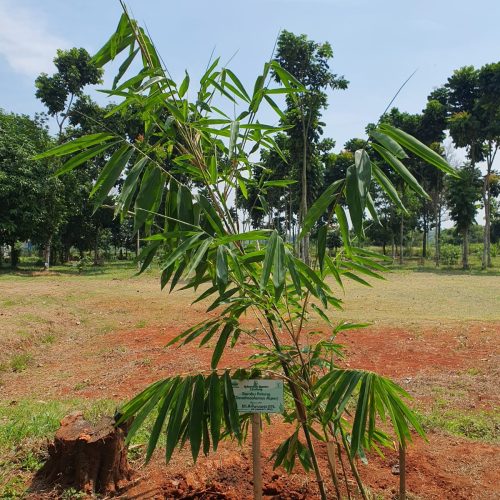 WhatsApp Image 2023-09-10 at 14.05.53